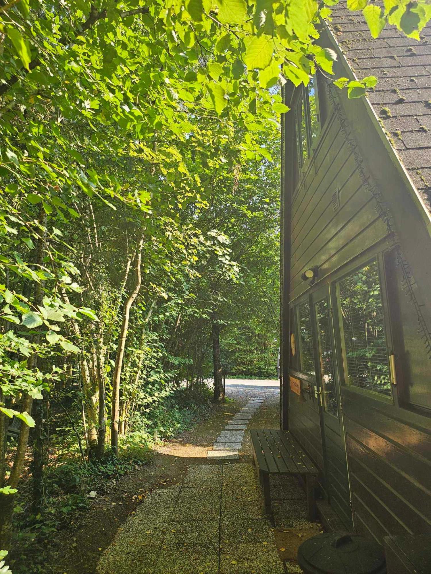 Het Hertenbos Chalet 136 - Bos- Groene Oase- Rustmoment- Zwembad view 2