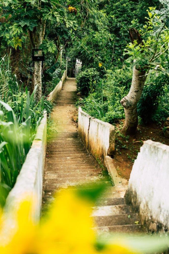 Eco Hostel Vista Mar