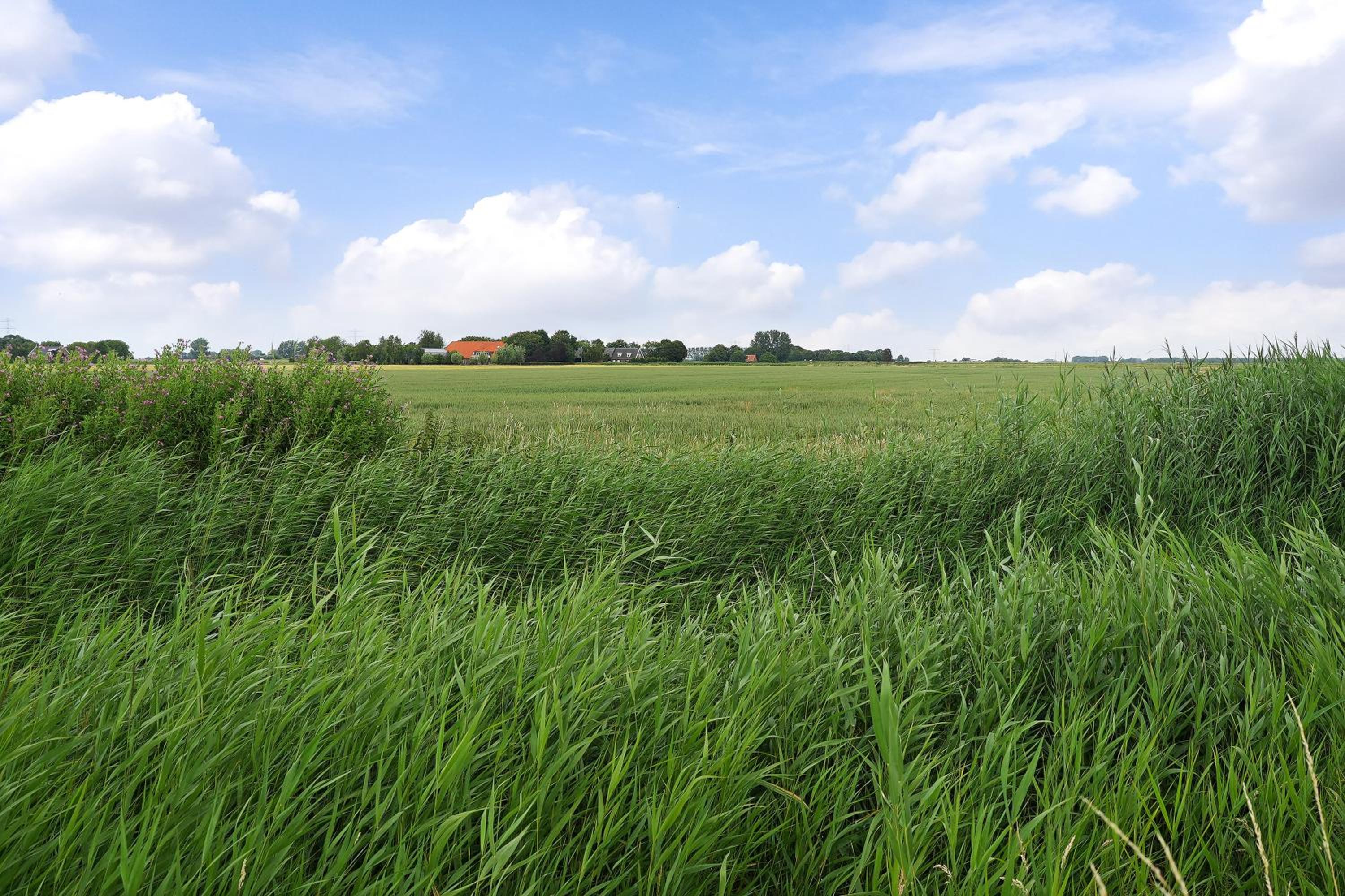 Vakantiehuis Nieuwdorp view 5