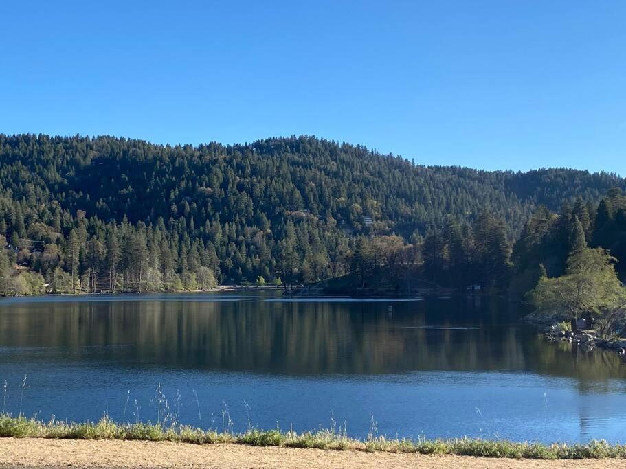 The Perch - Majestic Views - Lake Vistas view 3