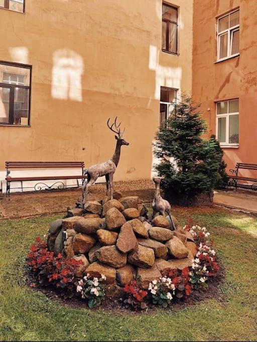 Central & Functional Studio Riga