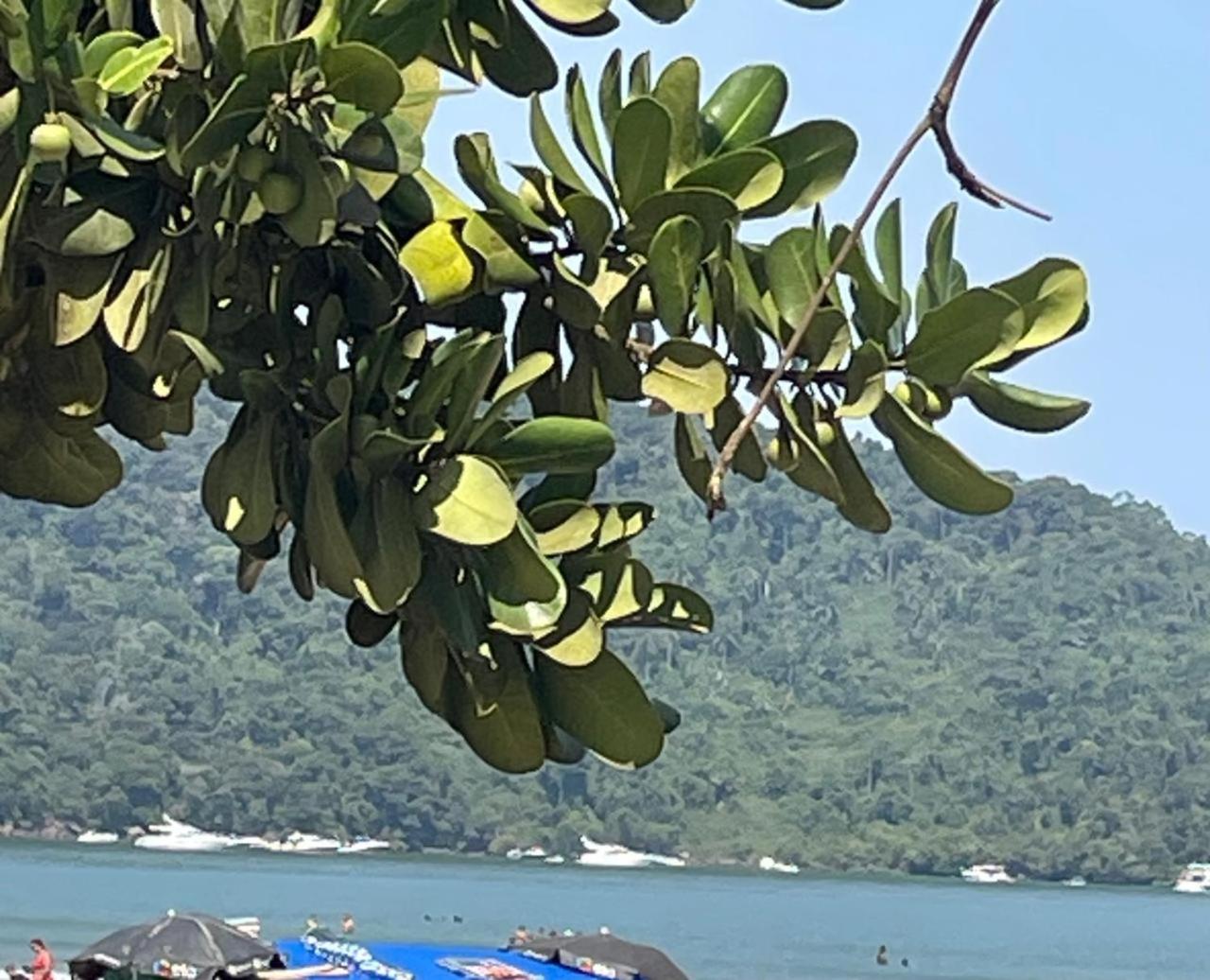 Casa com piscina