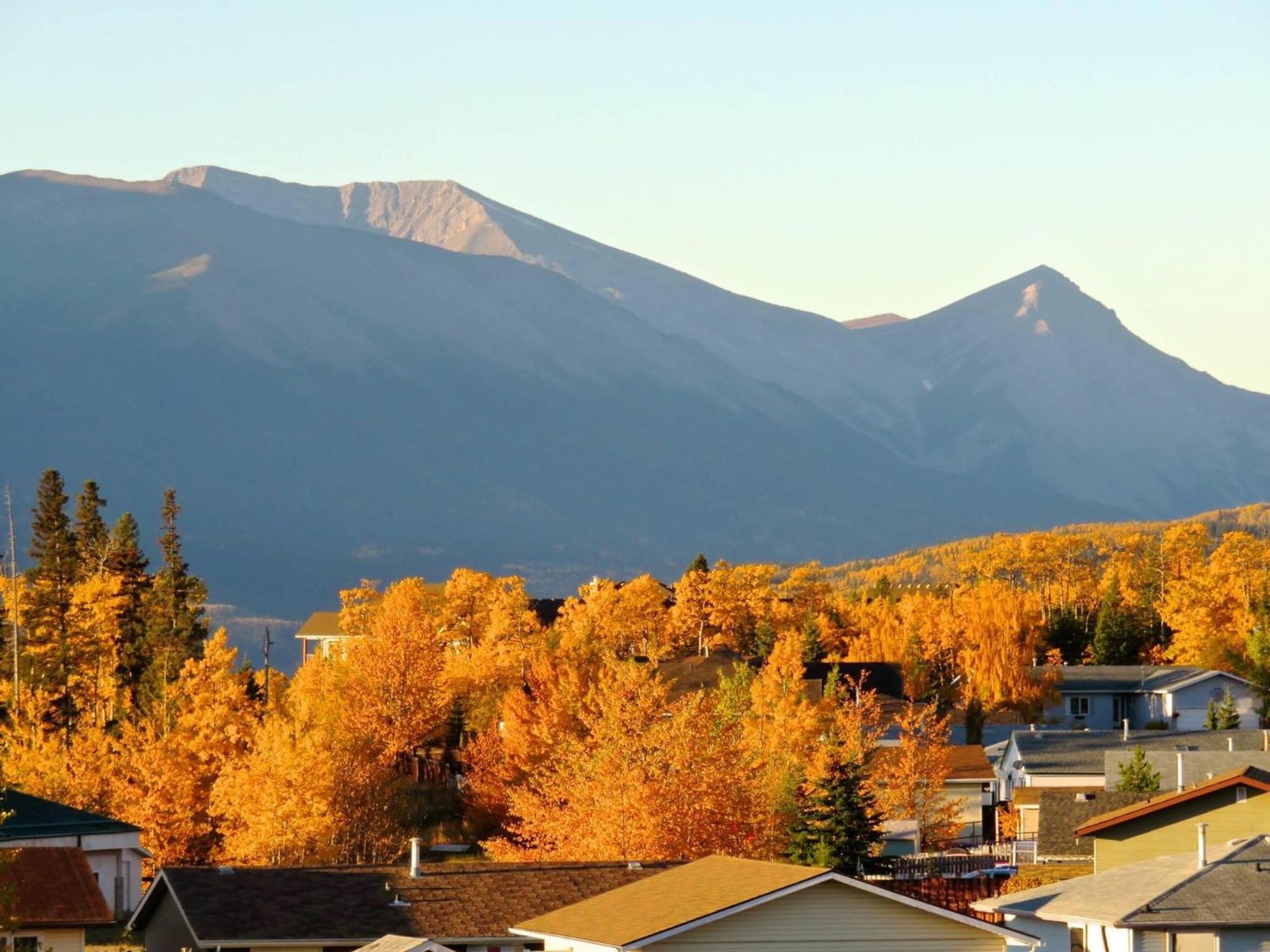 Mountain View Executive Suite