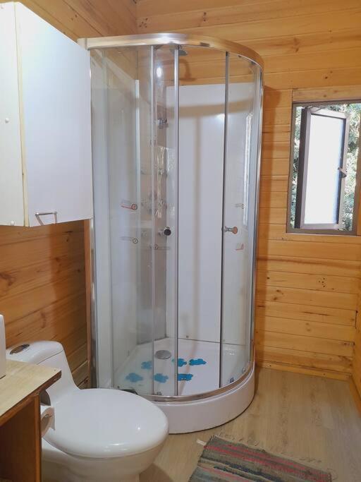 Cabaña en la cordillera