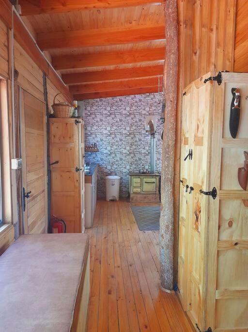 Cabaña en la cordillera