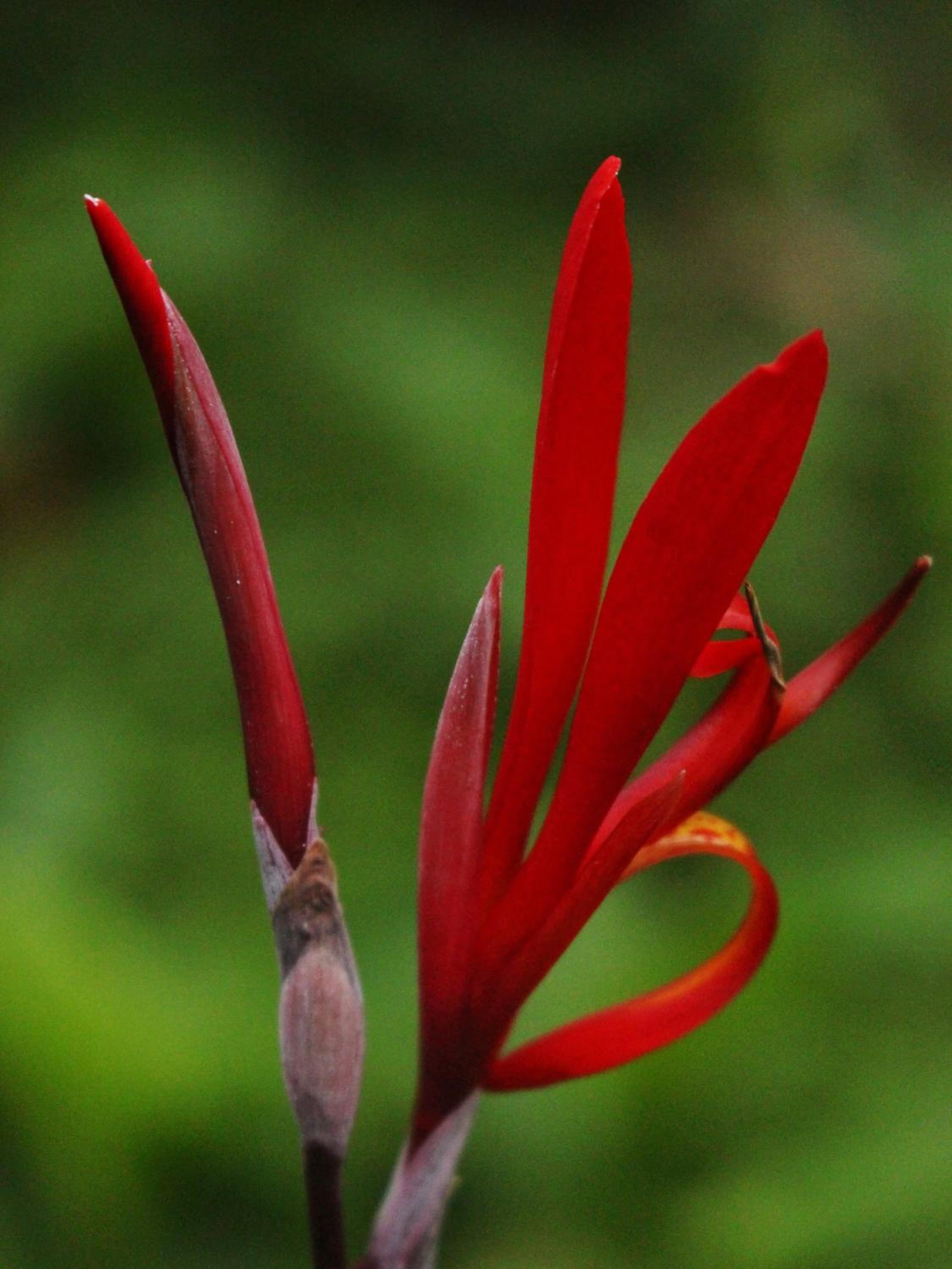 Ecohotel Otrolado Lodge