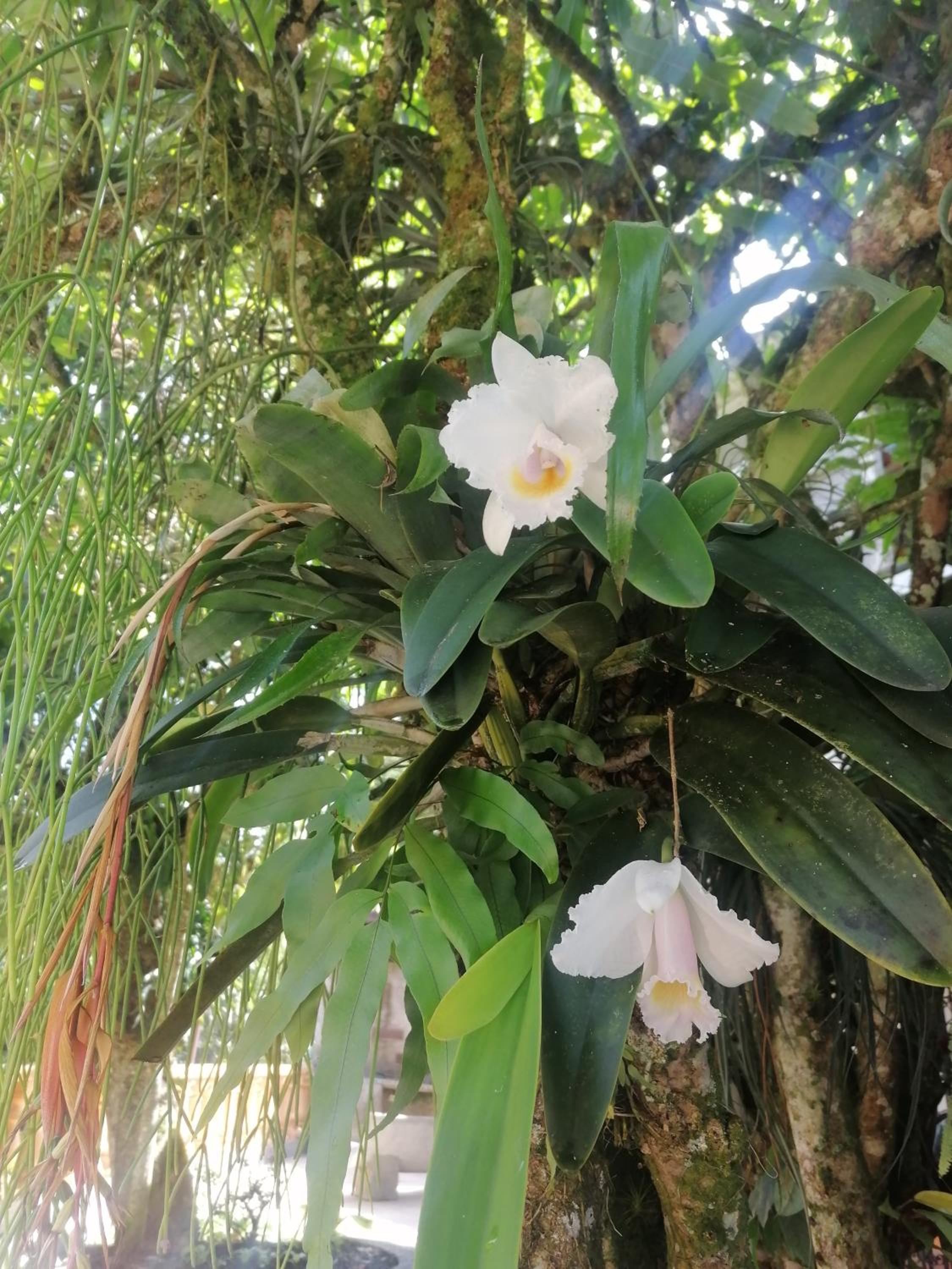 Ecohotel Otrolado Lodge
