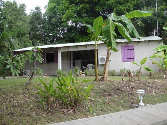 Photo 41