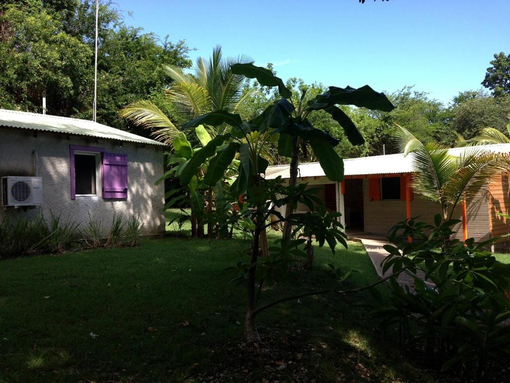 Photo 52
