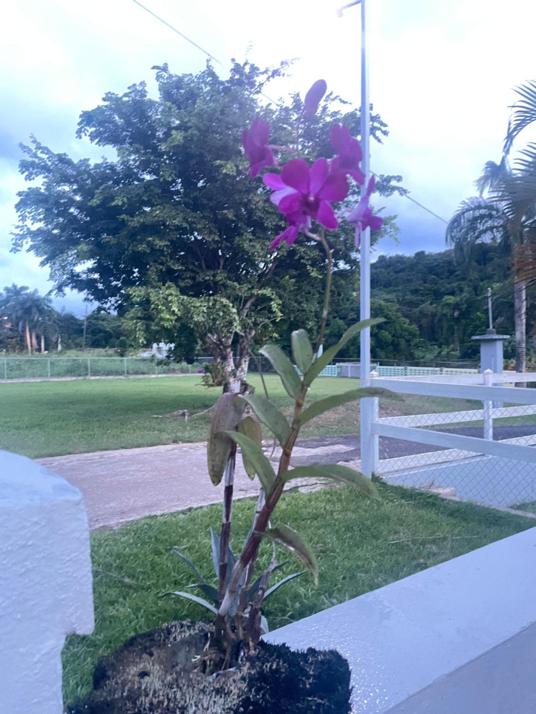 Hacienda Bello Sitio
