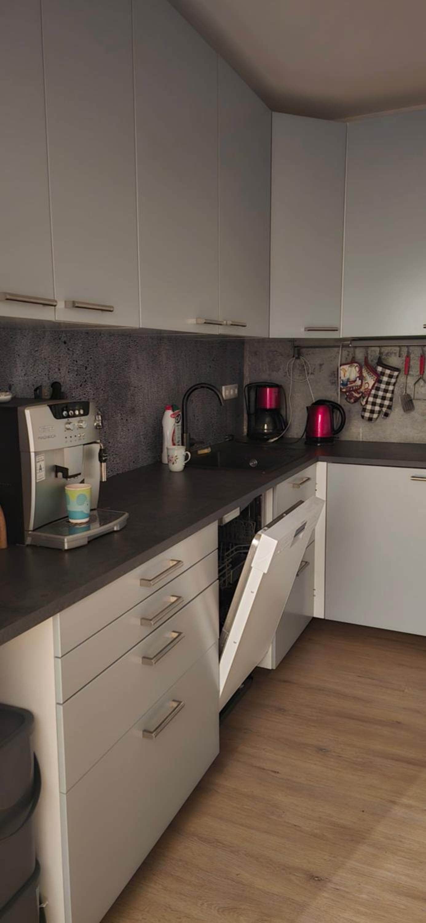 Saska apartment