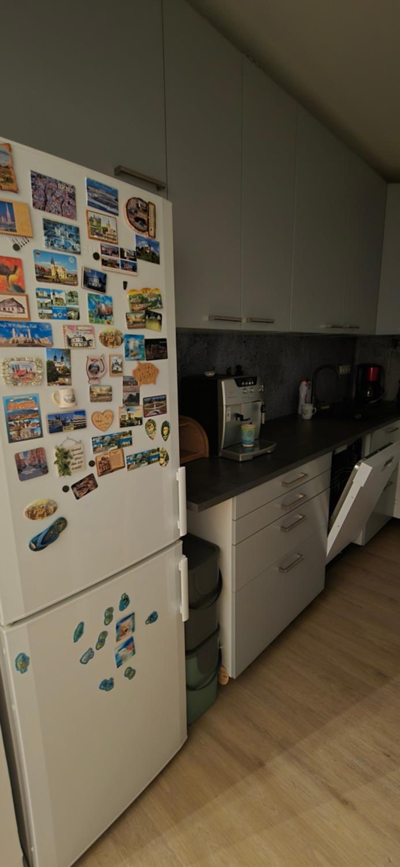 Saska apartment