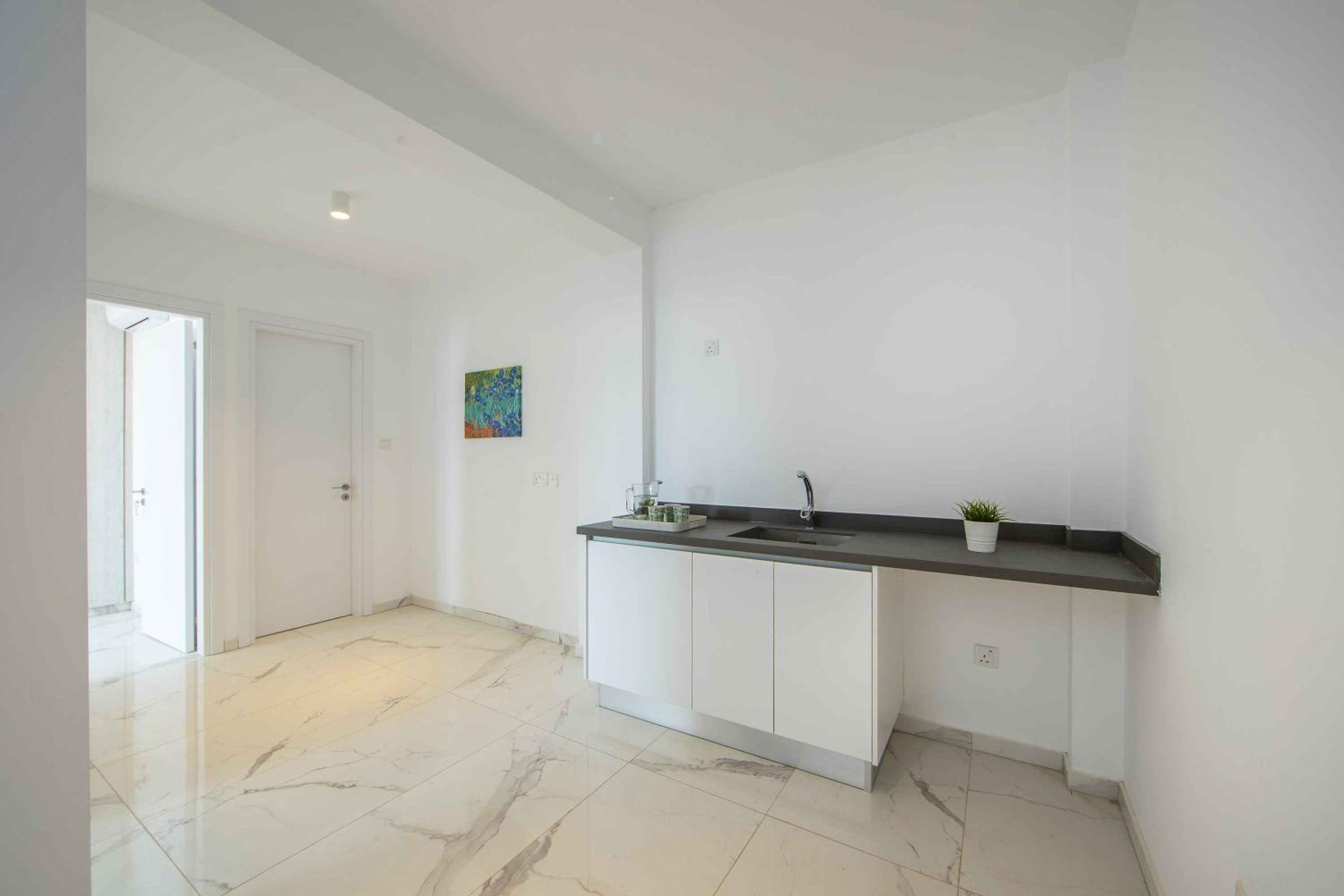 Brand New Luxurious Villa With Pool