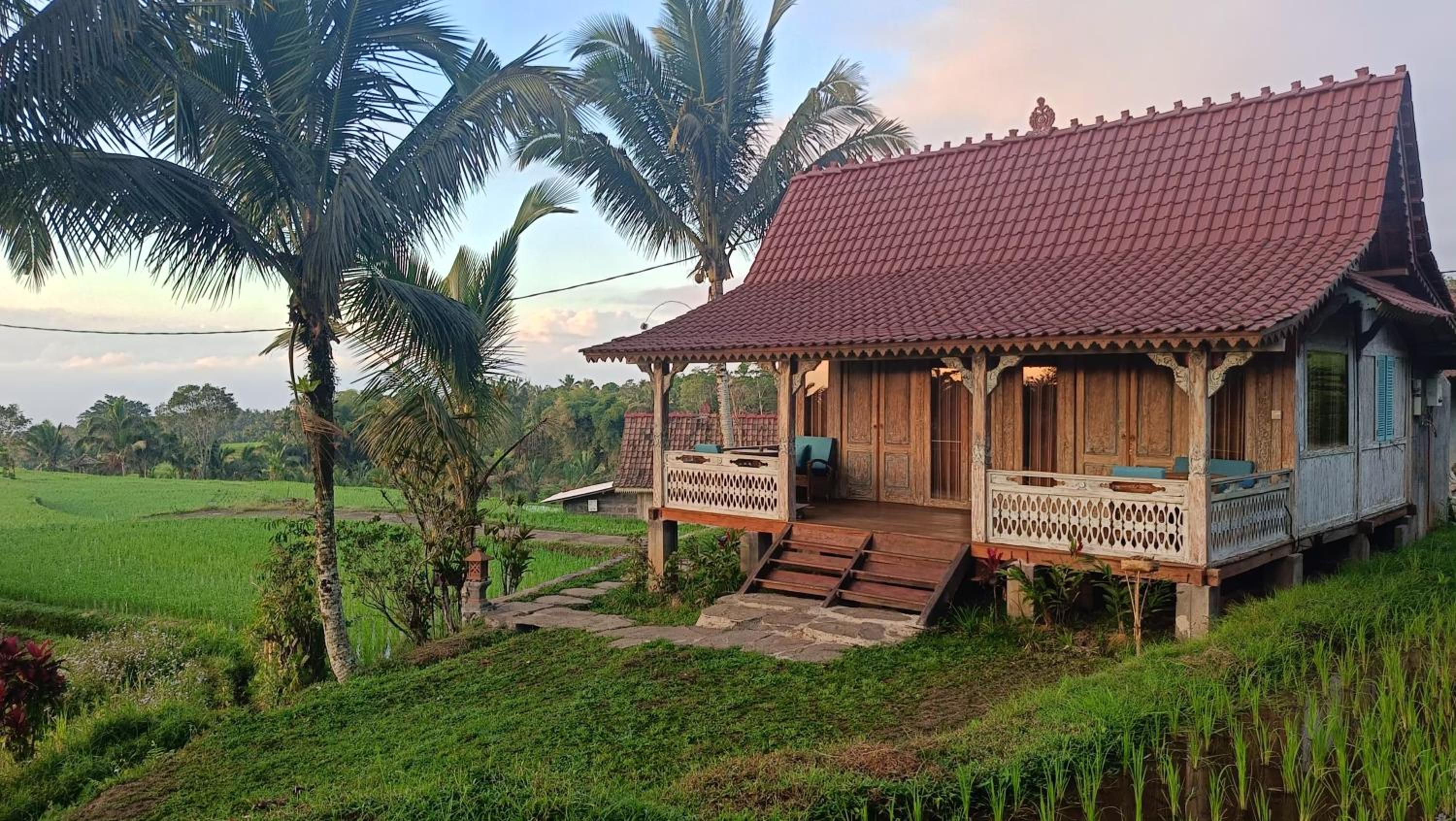 Hotel D'Ume Bendoel Homestay - Image 1