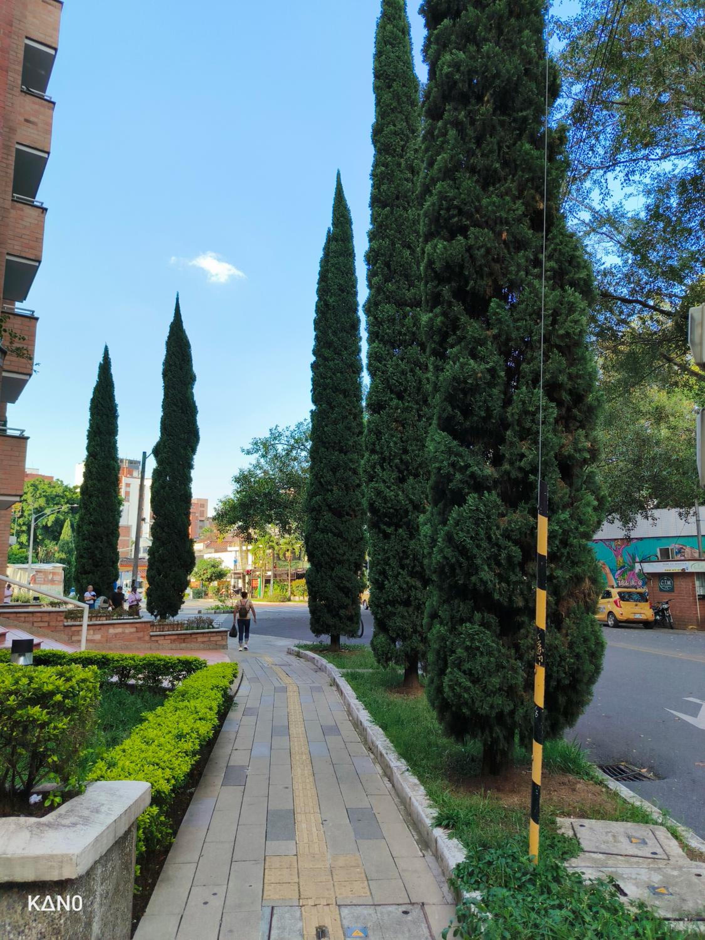 Hospedaje Oasis Blue Laureles Medellín