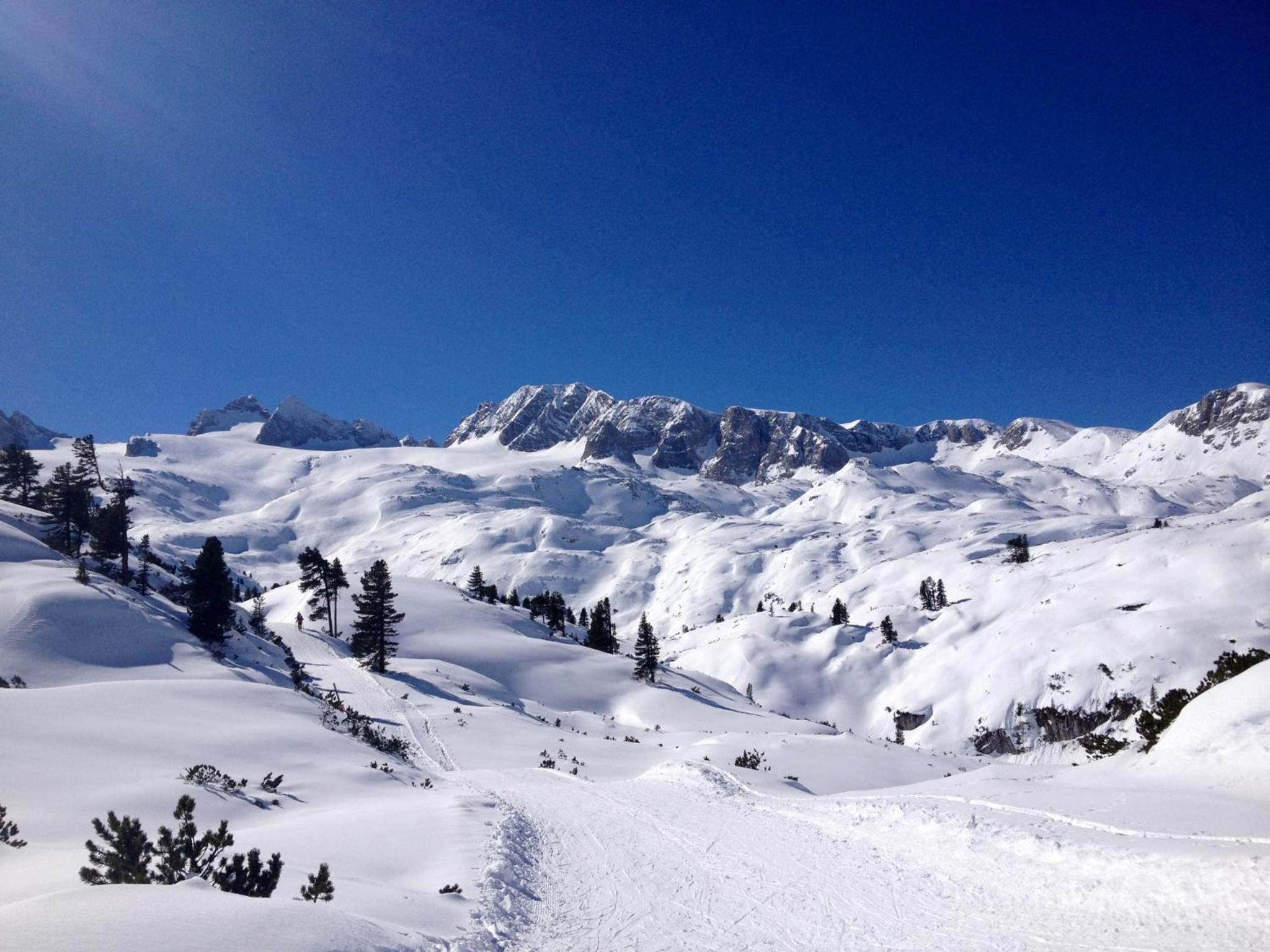 ''die Bergerin'' | Appartements Schladming