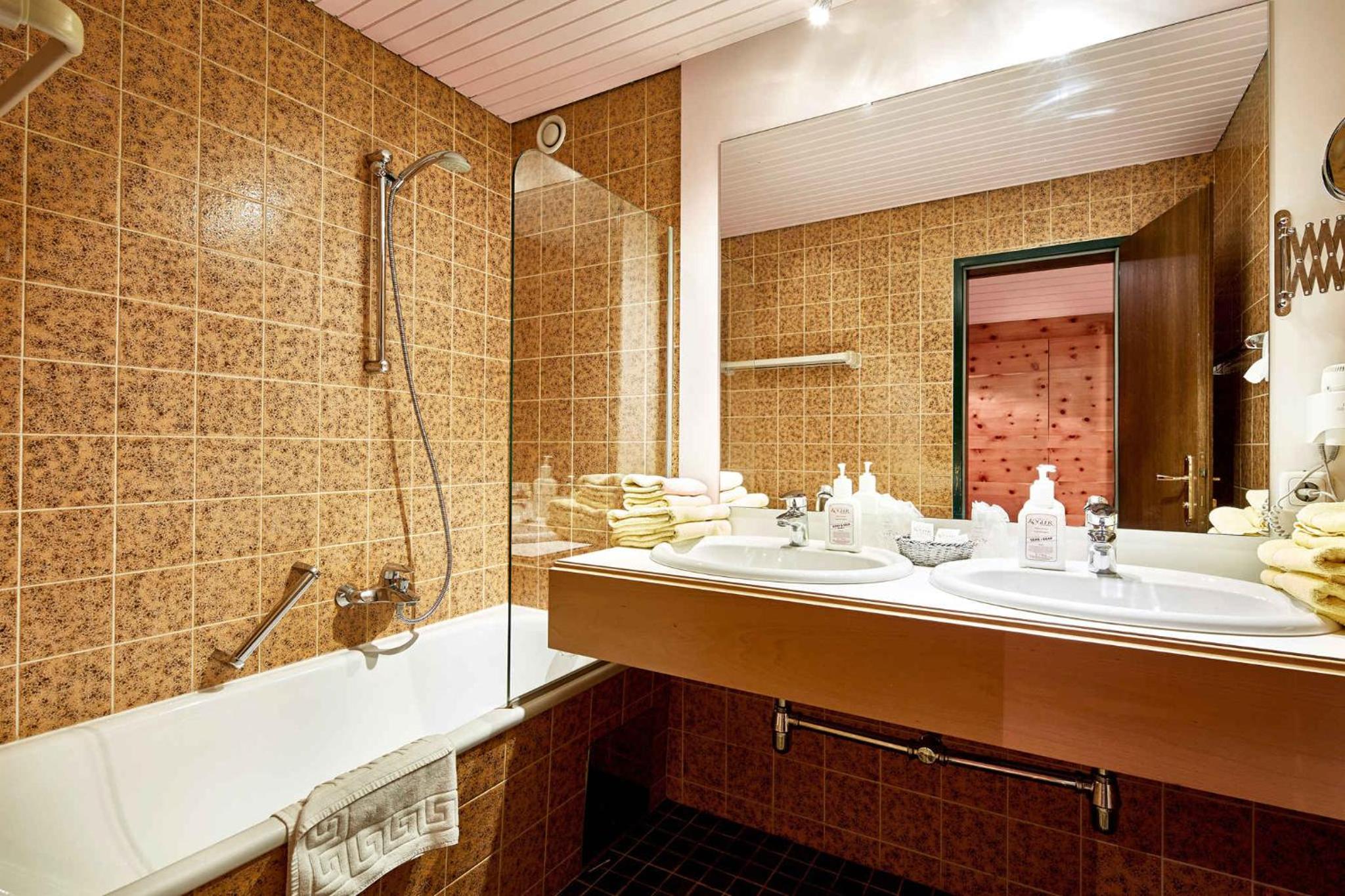 Apartment in Mittersill - Salzburger Land 45727