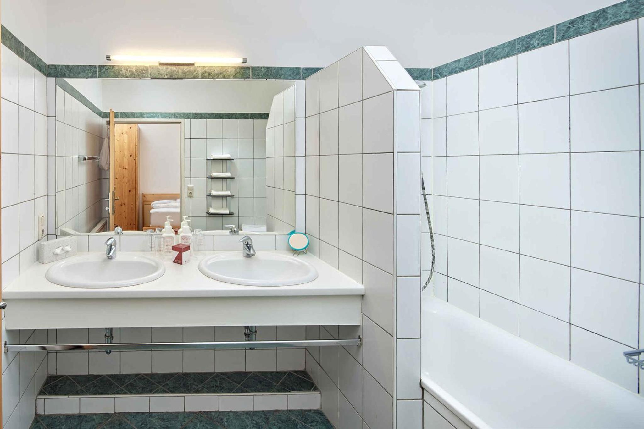 Apartment in Mittersill - Salzburger Land 45727