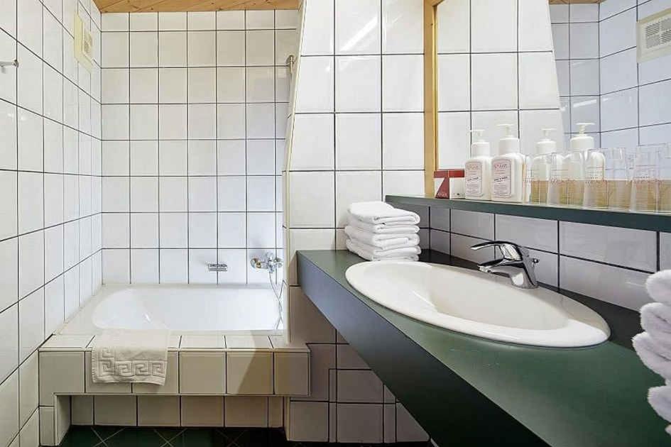 Apartment in Mittersill - Salzburger Land 45727