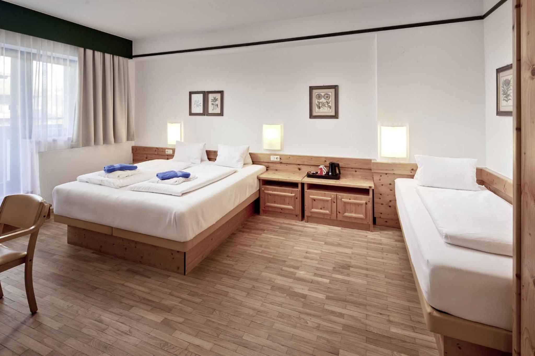 Apartment in Mittersill - Salzburger Land 45727