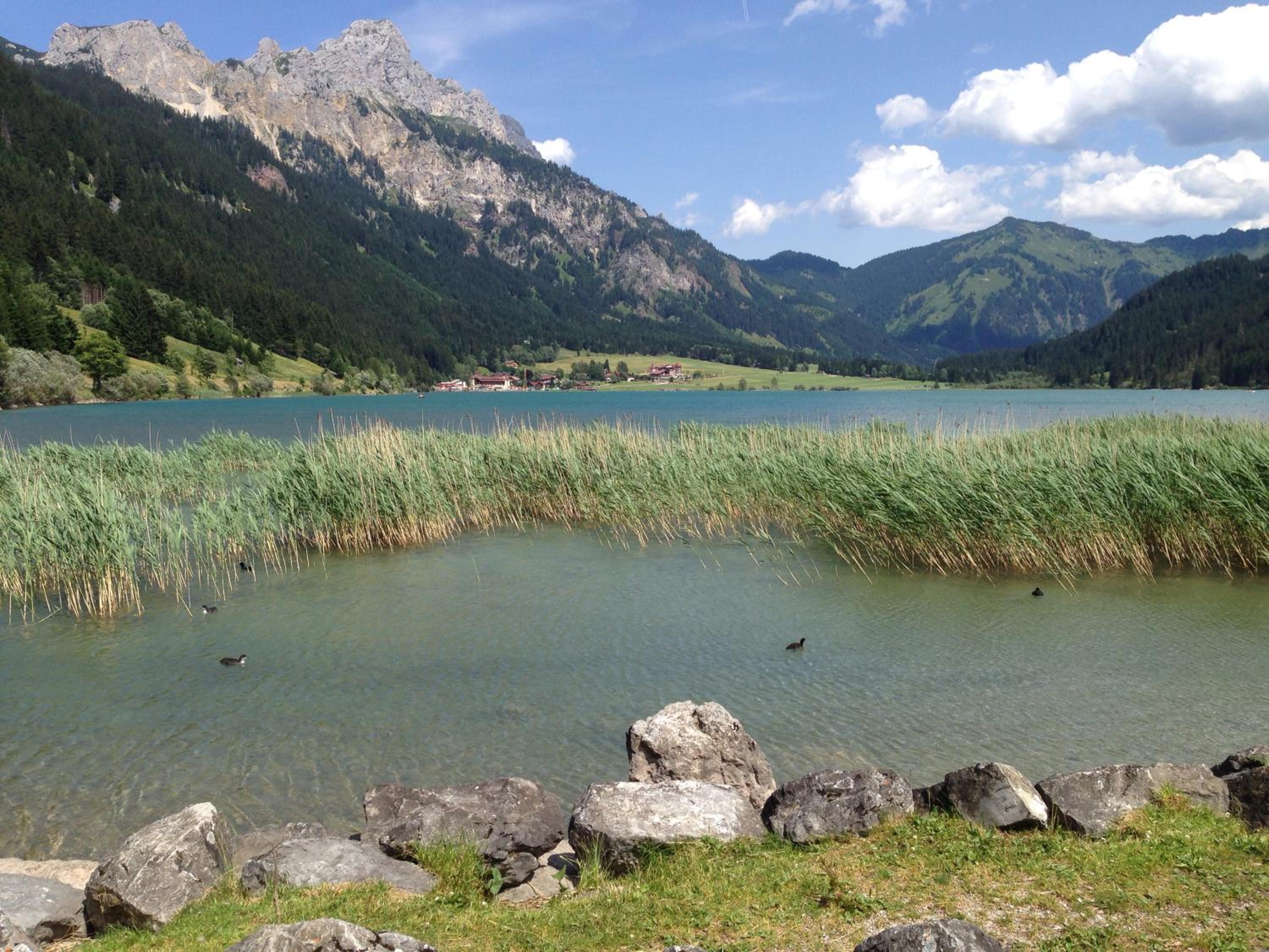 Photo 25