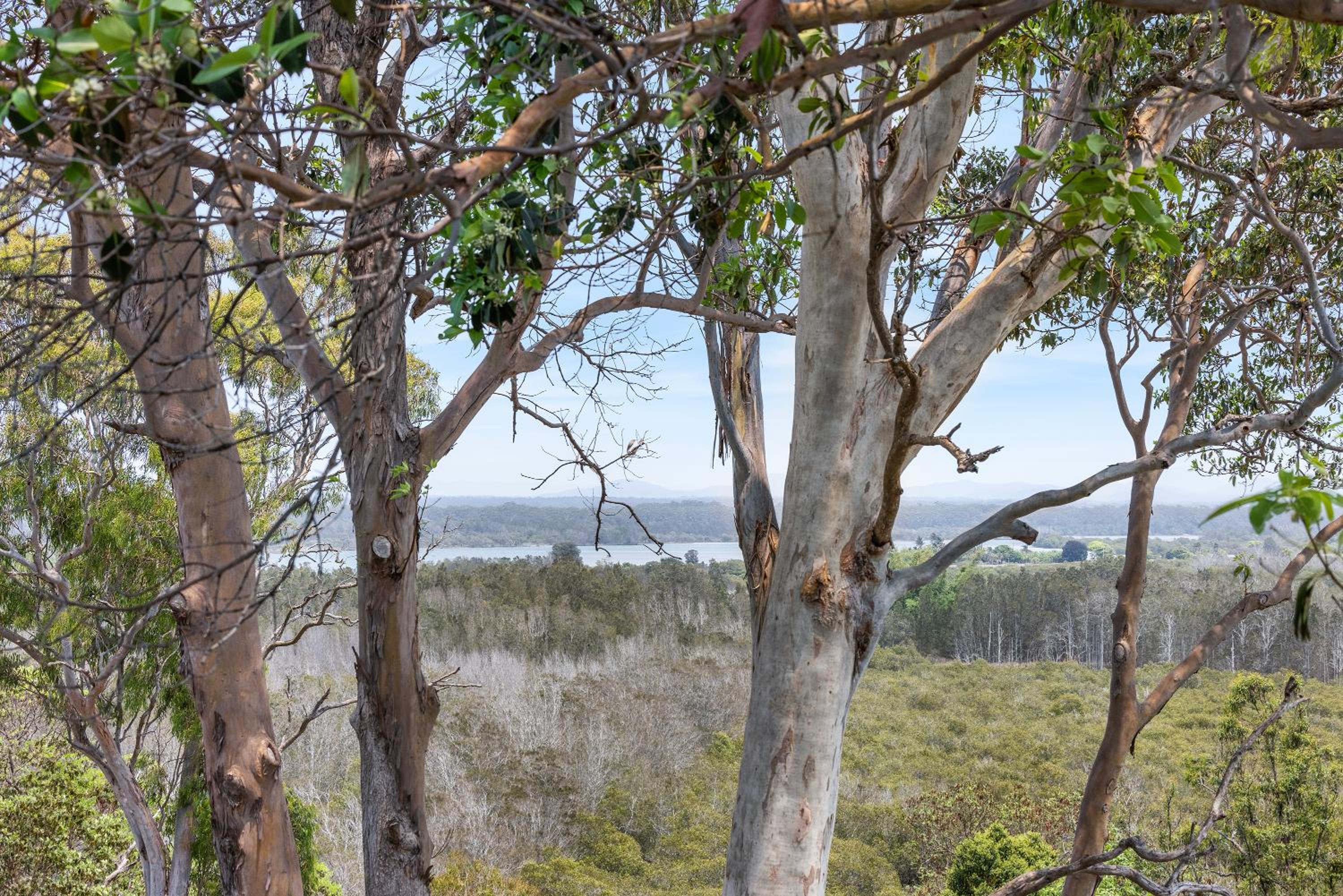 SubTropical Escape 45 Ocean St SWR - No Sheets or Towels provided