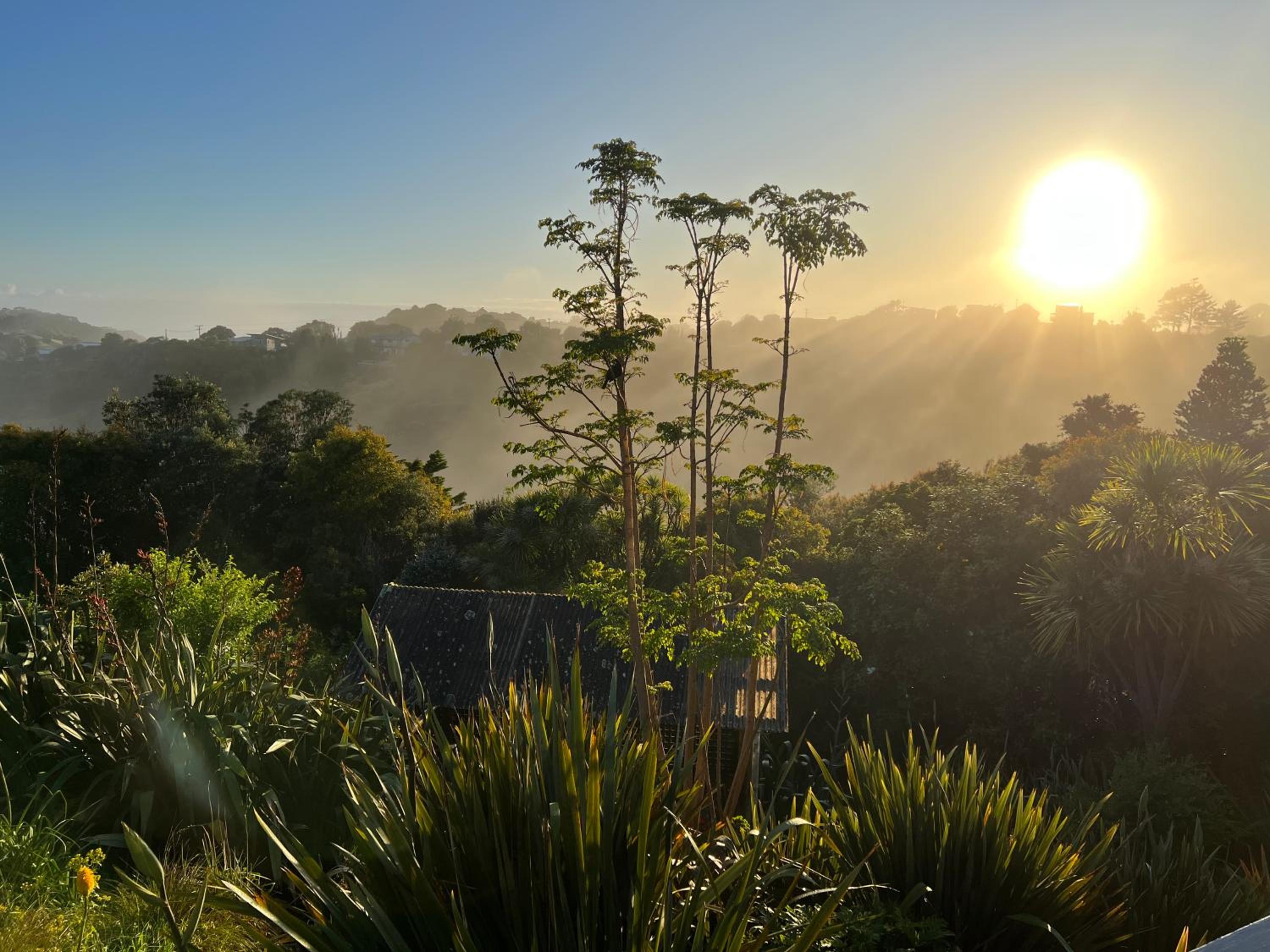 Tutukaka Sunrise