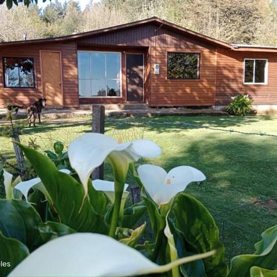 Pucura, cabaña entre laureles