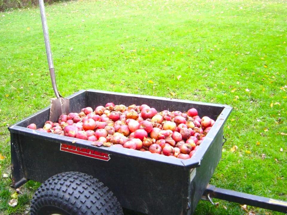 Photo 40