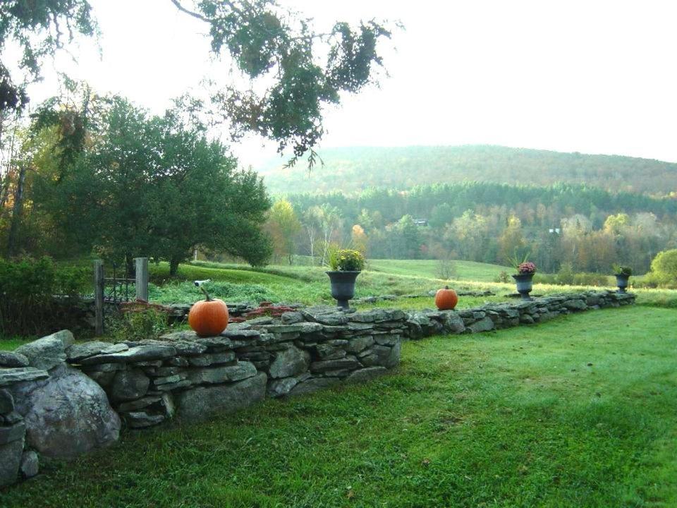 Photo 42