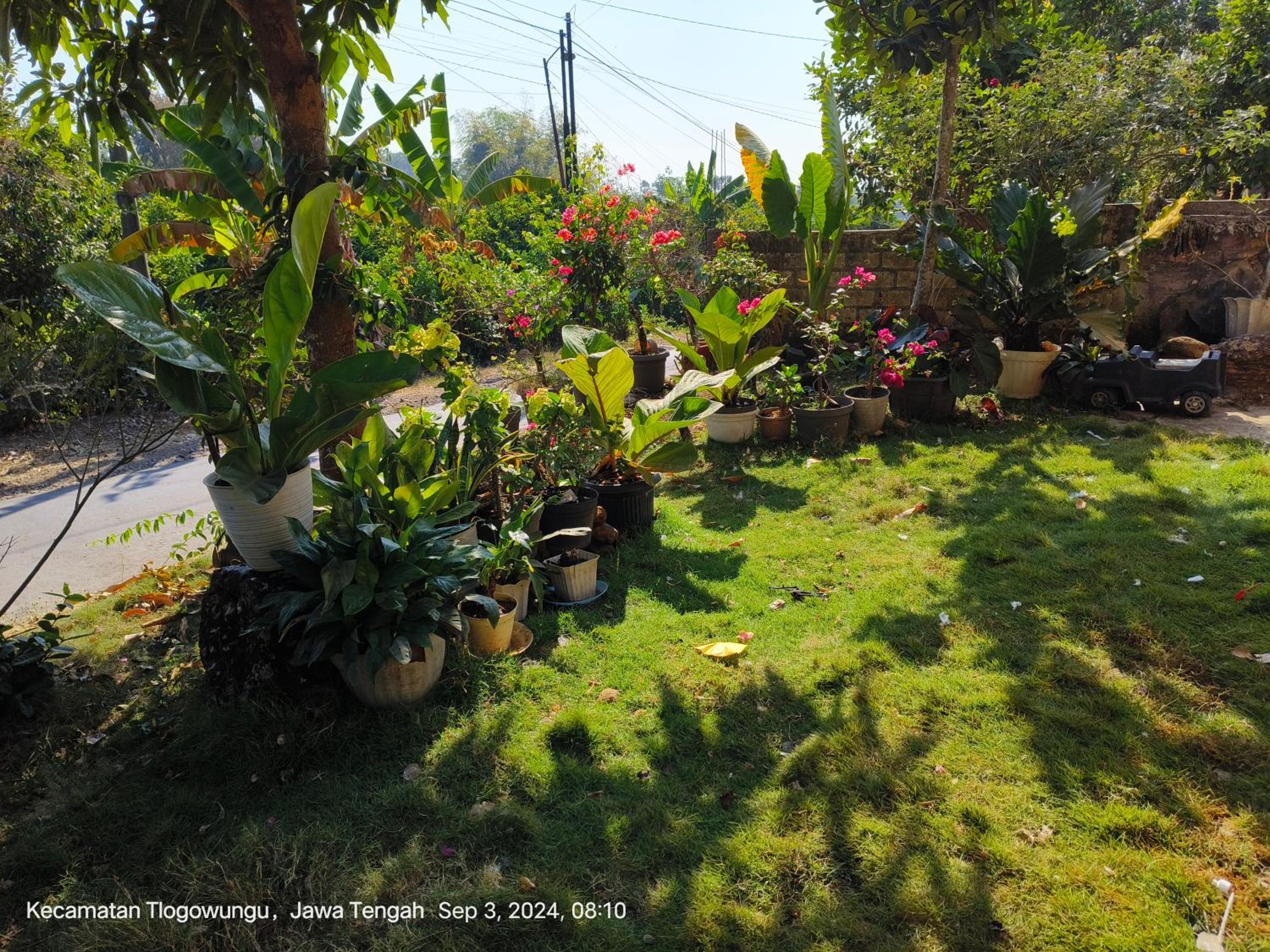 Villa East Muria view 3