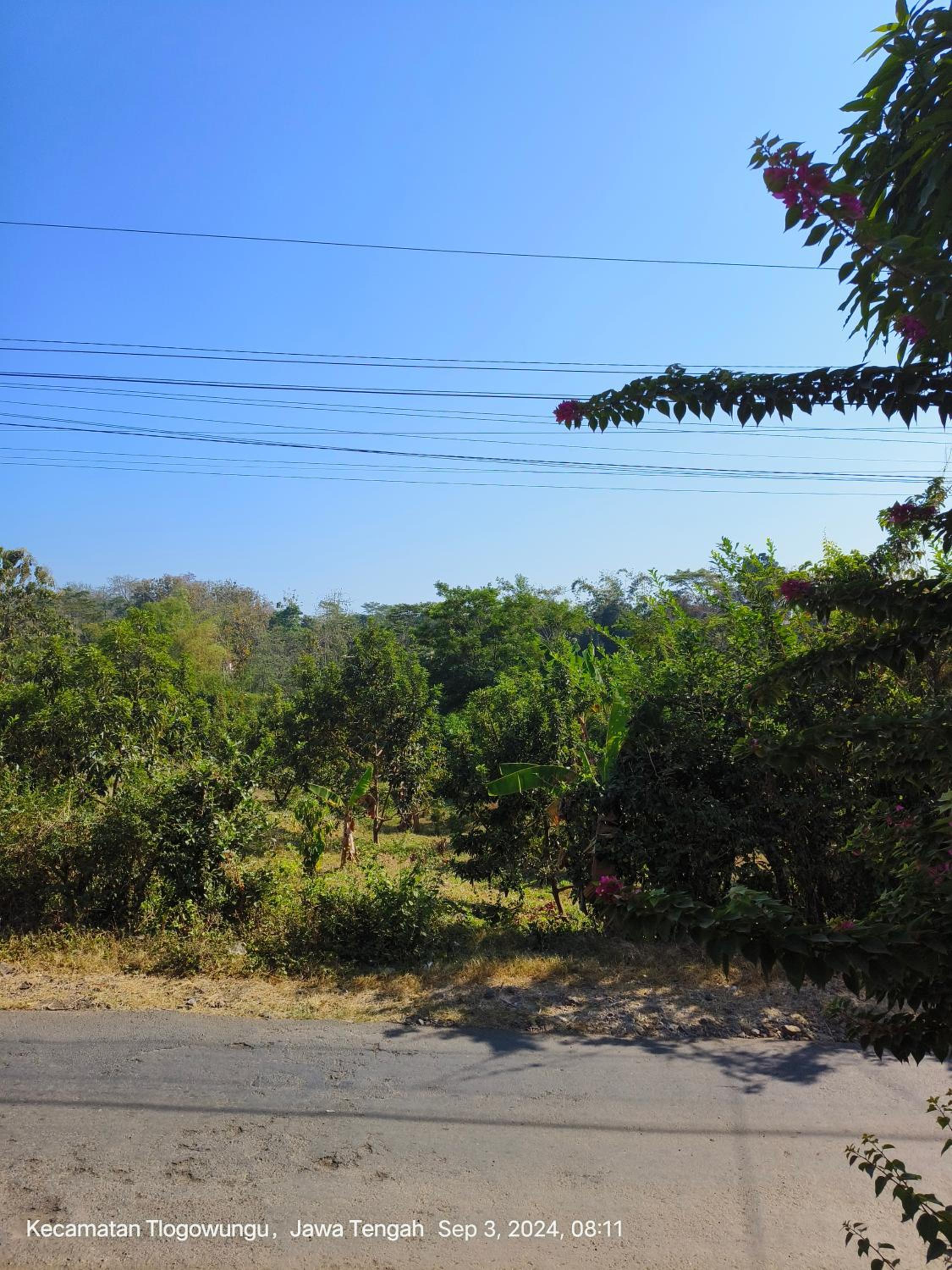 Villa East Muria view 2