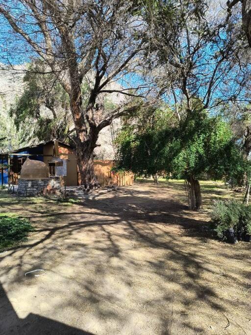 Casa del Encuentro, Valle de Elqui