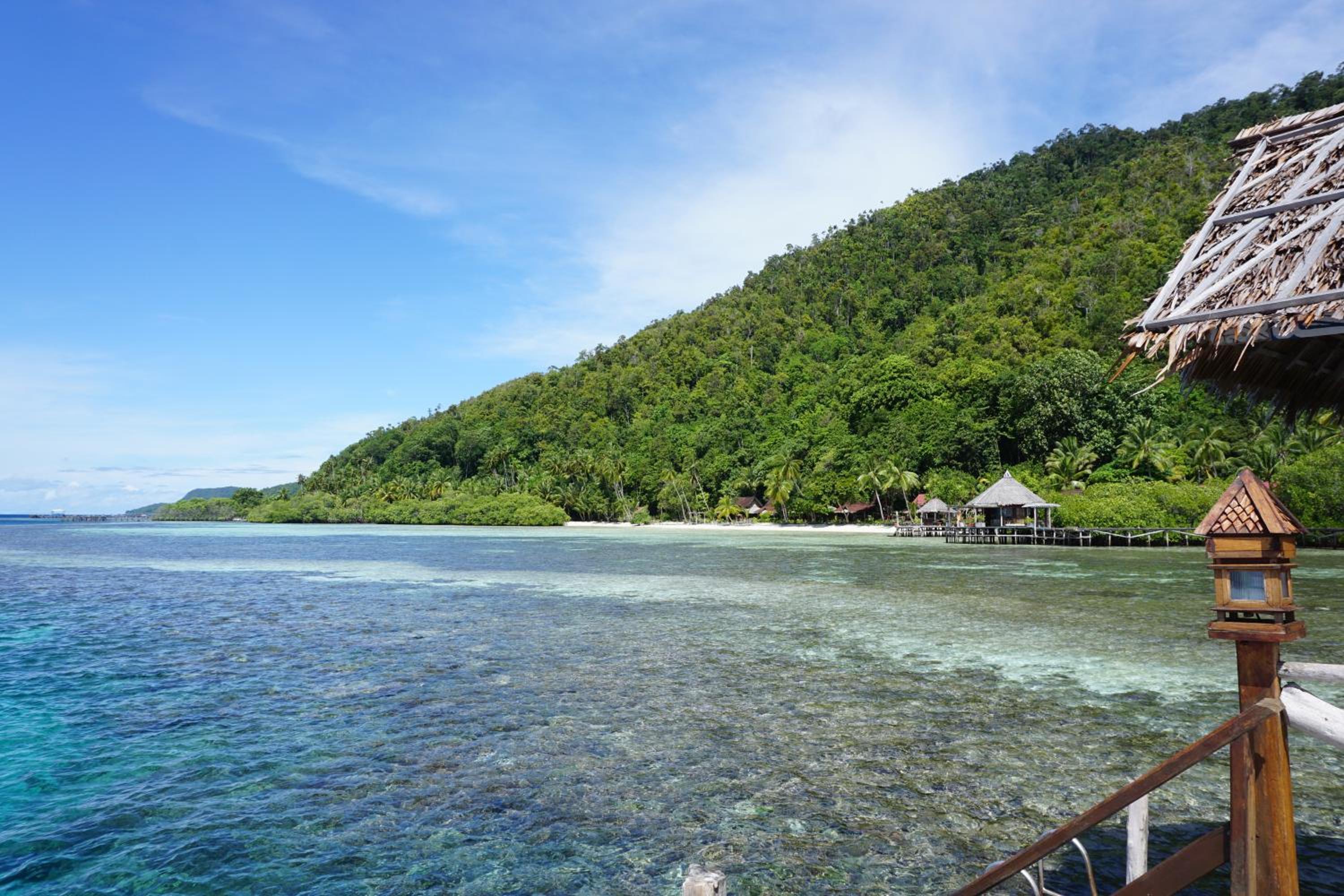 Raja Ampat Dive Lodge