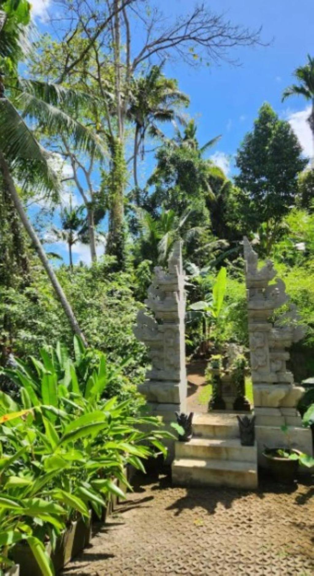 Sacred River & Jungle Villa view 3