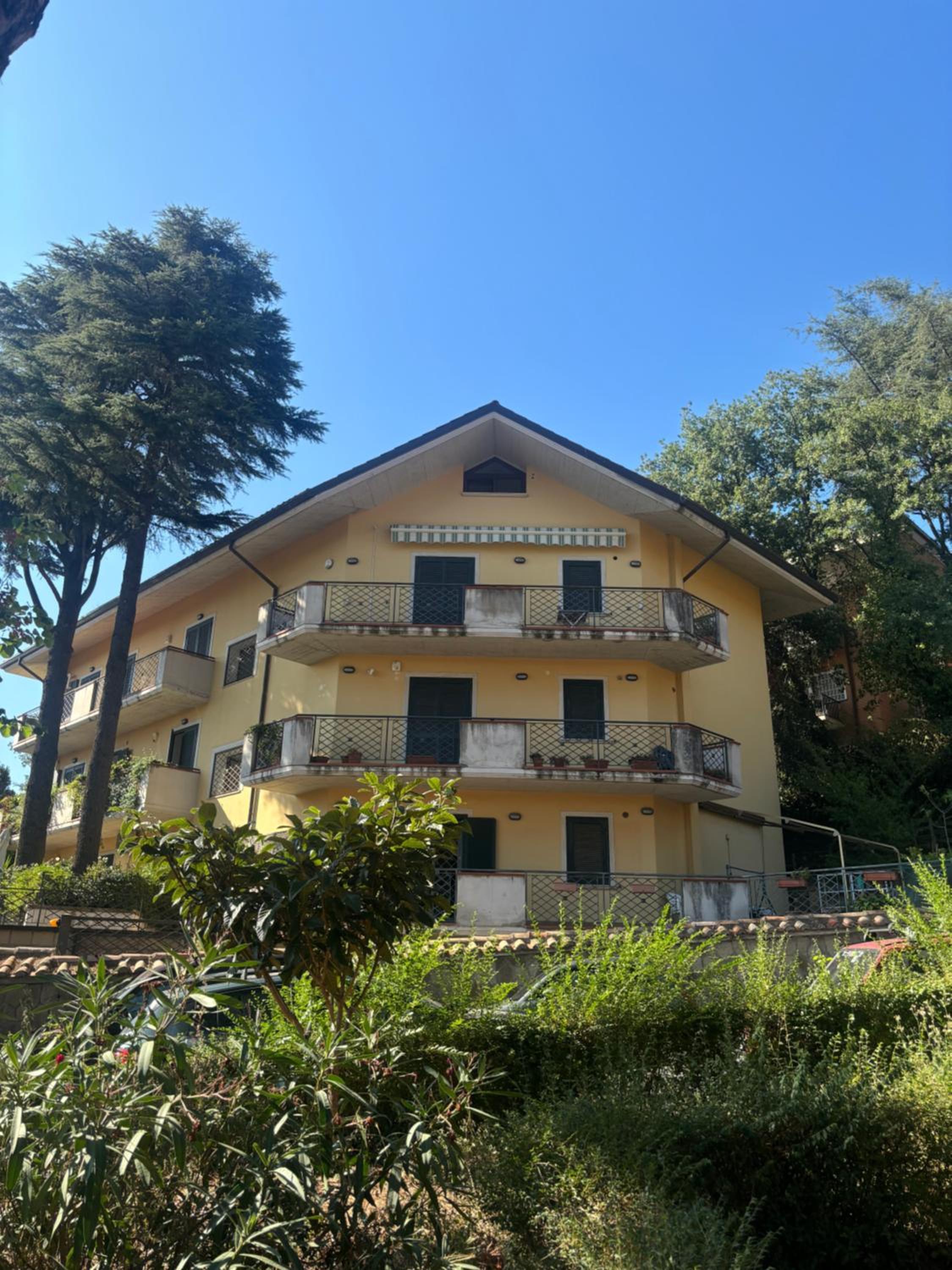 Dream House Grottaferrata photo 2