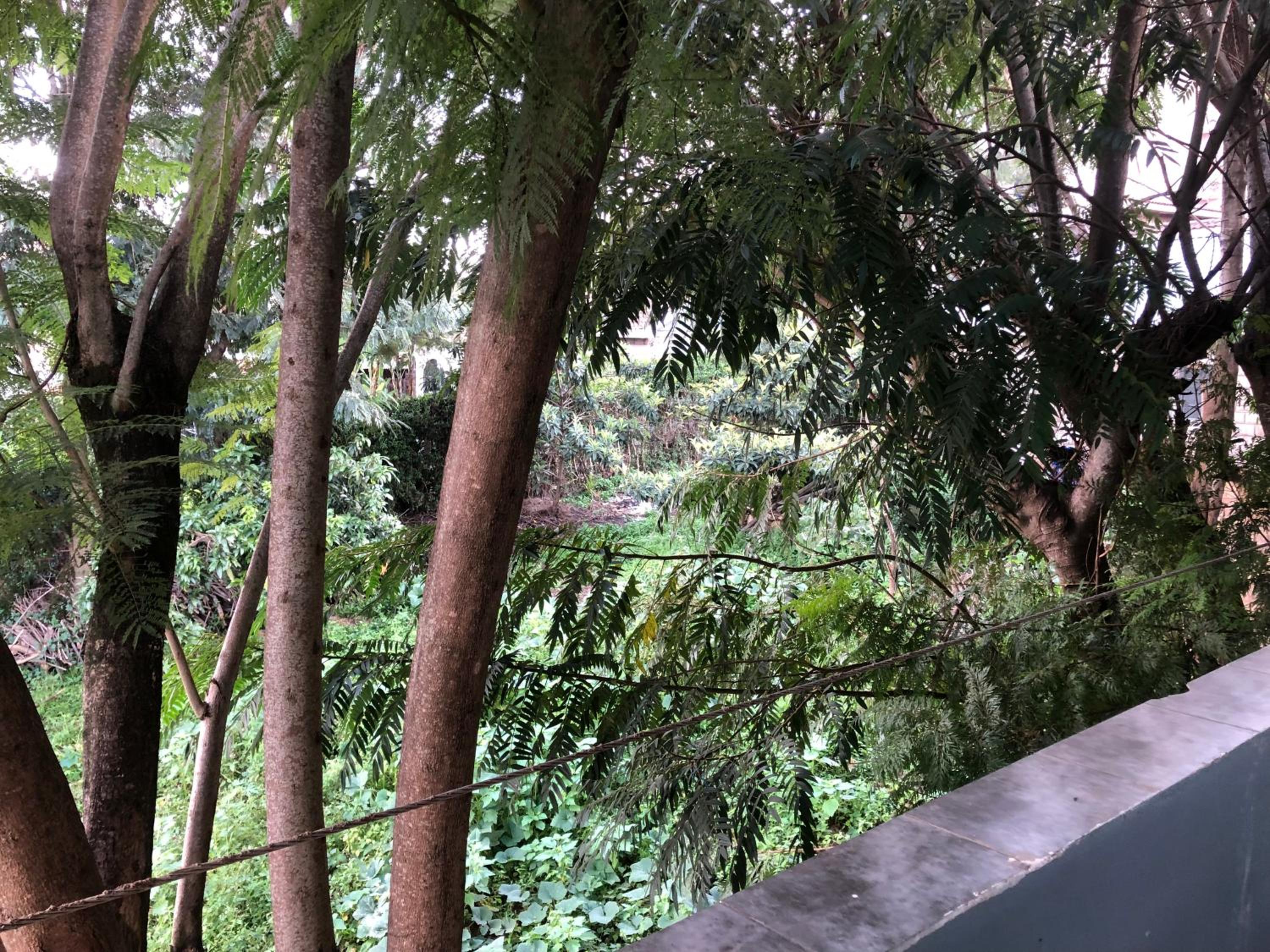Serene Ongata Rongai Studio Bnb view 4