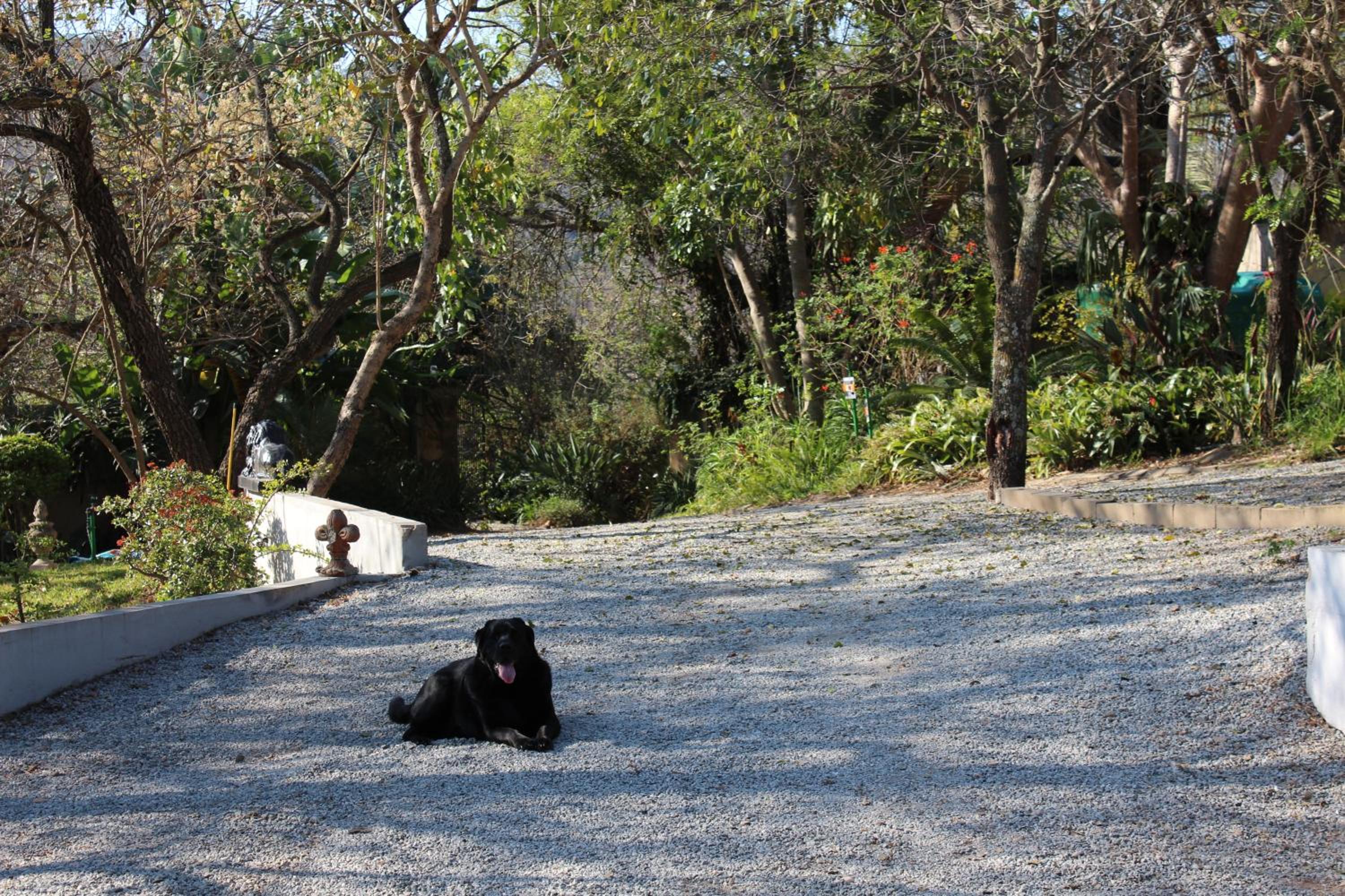 Photo 9