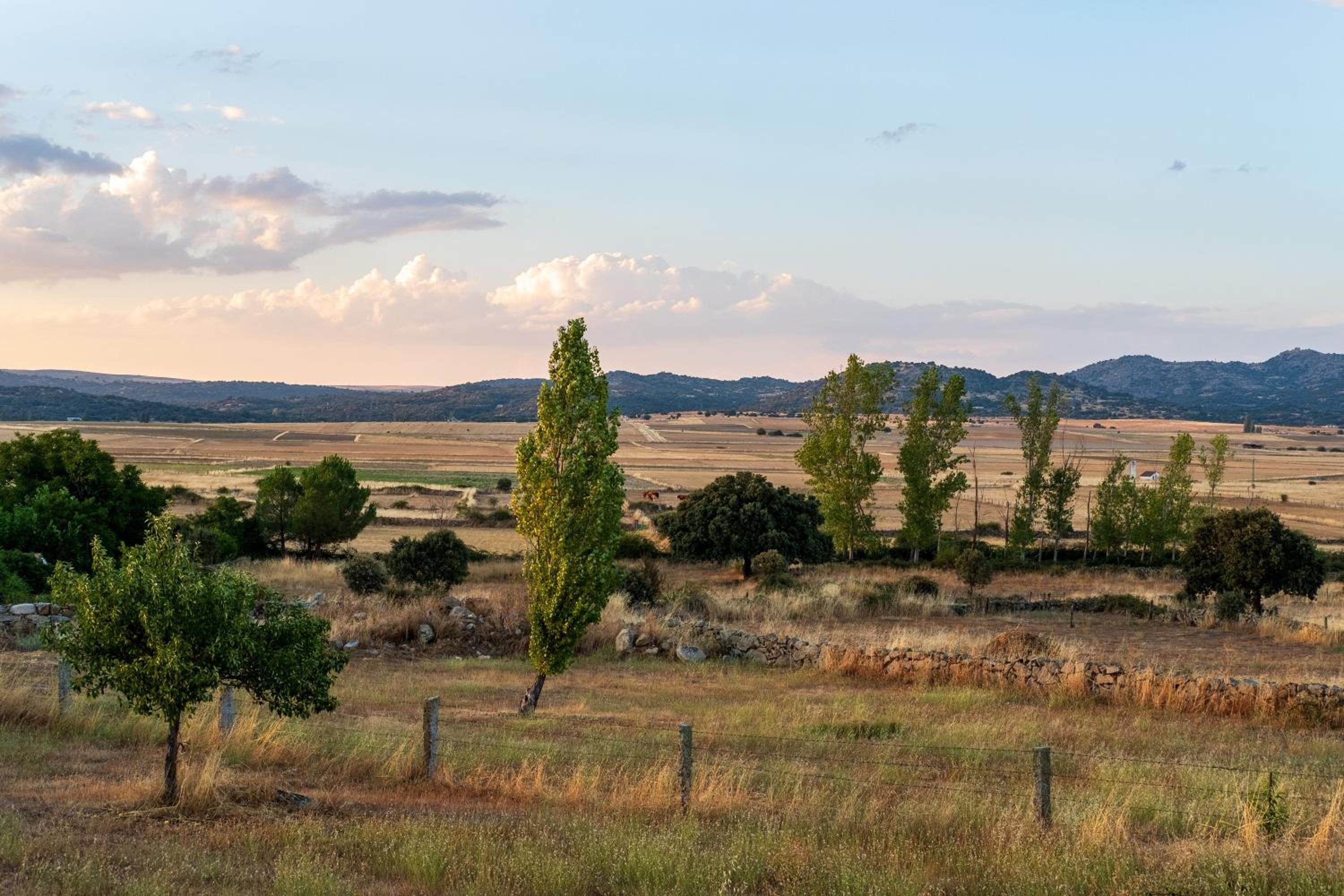 La Cuadra