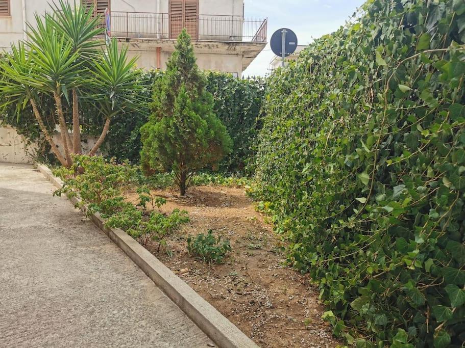 Casa vacanze-Giardino in pieno centro photo 3