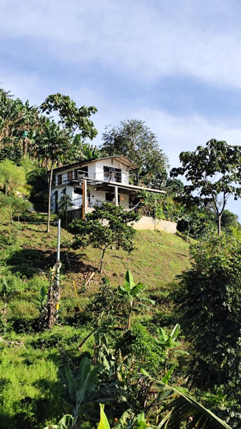 Montecafé Jardín