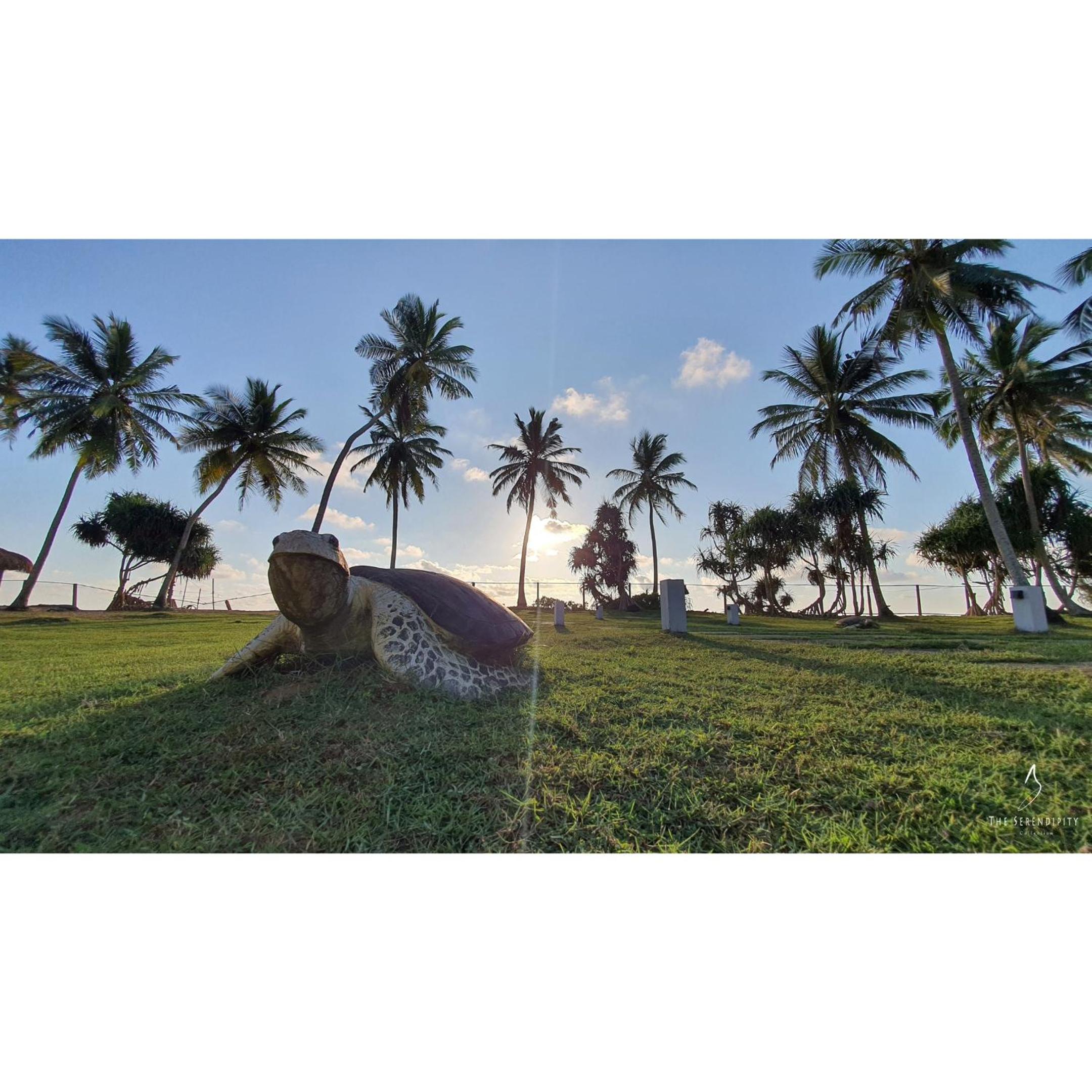 Green Turtle Villa by TSC, Bentota