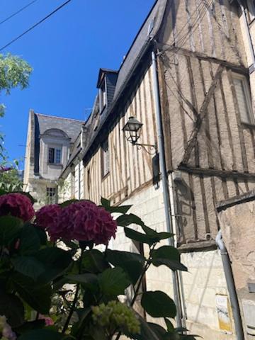 Appartement typique au coeur du vieux Tours