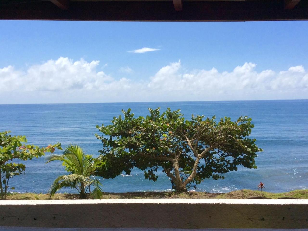 Ohana Beach Hostel Bungalows & dortoir view 3