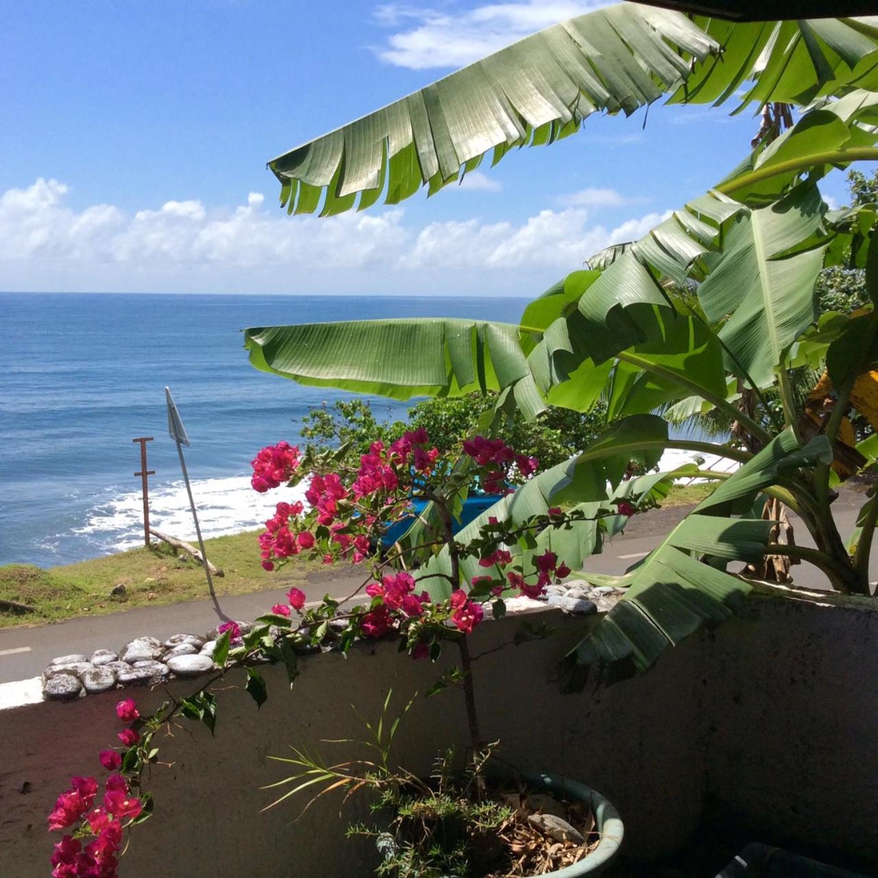 Ohana Beach Hostel Bungalows & dortoir view 4