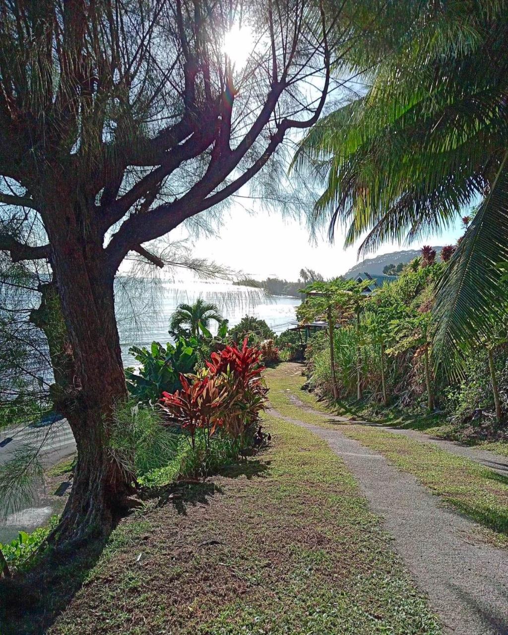 Ohana Beach Hostel Bungalows & dortoir view 5