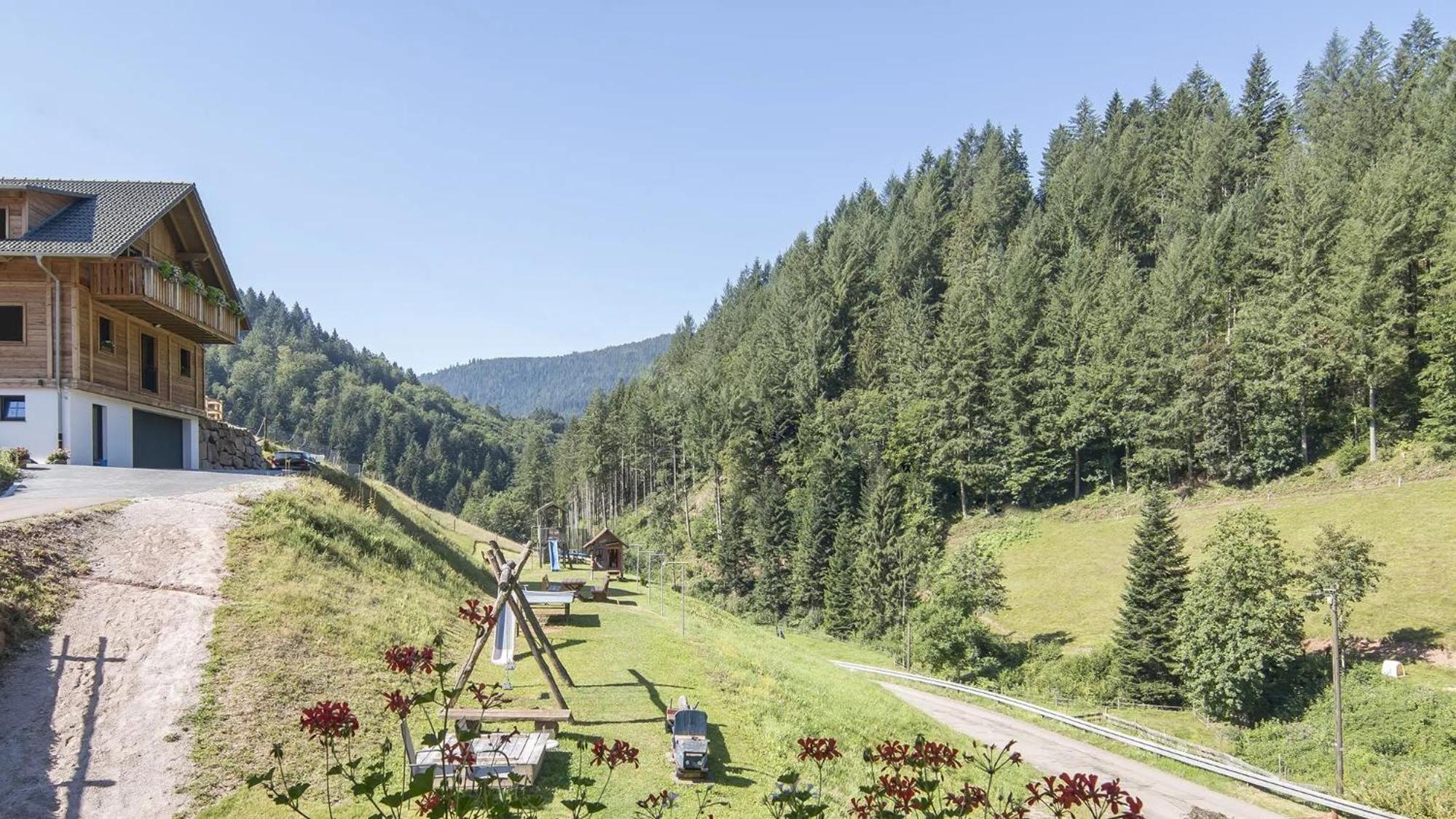 Springhansenhof