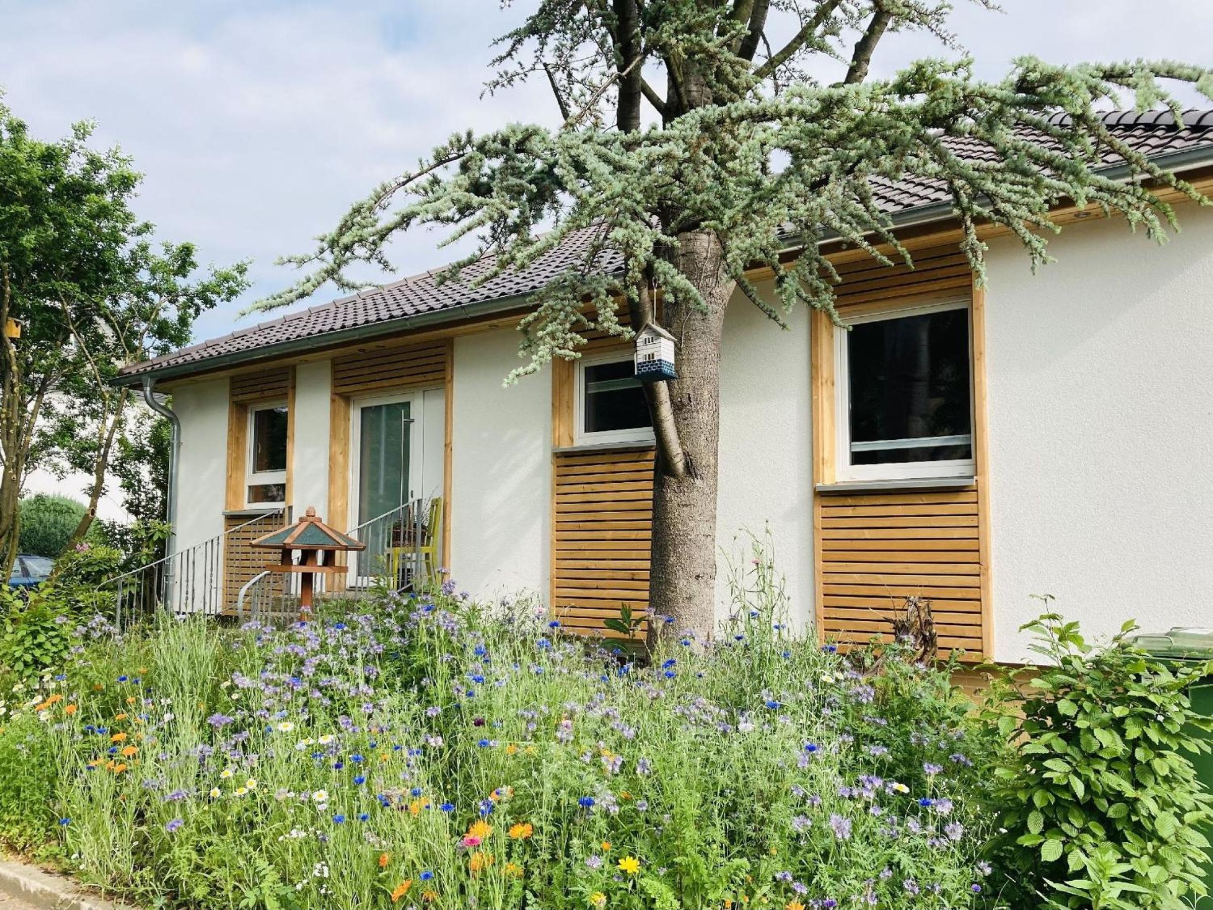 Ferienhaus Urwald