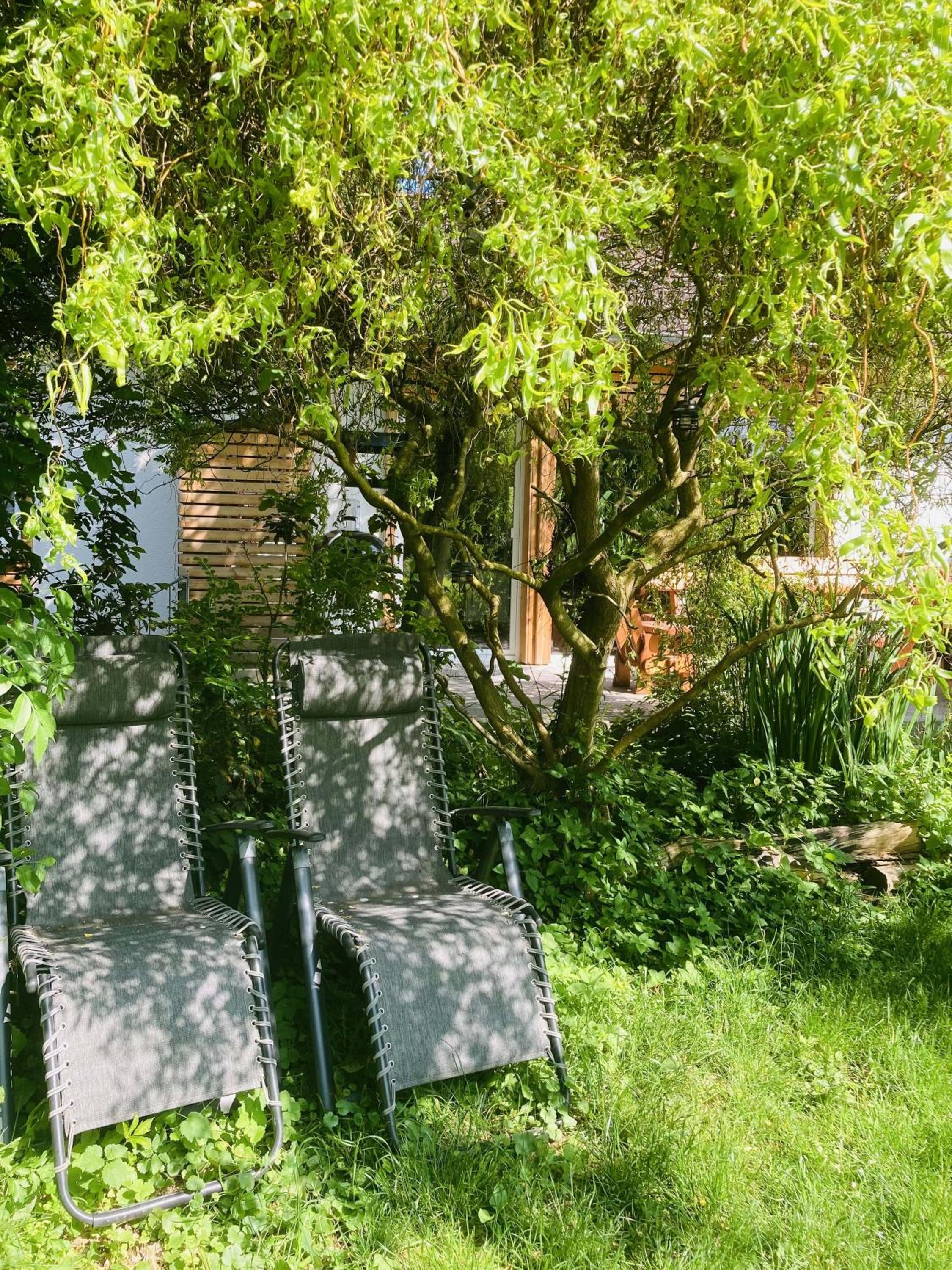 Ferienhaus Urwald
