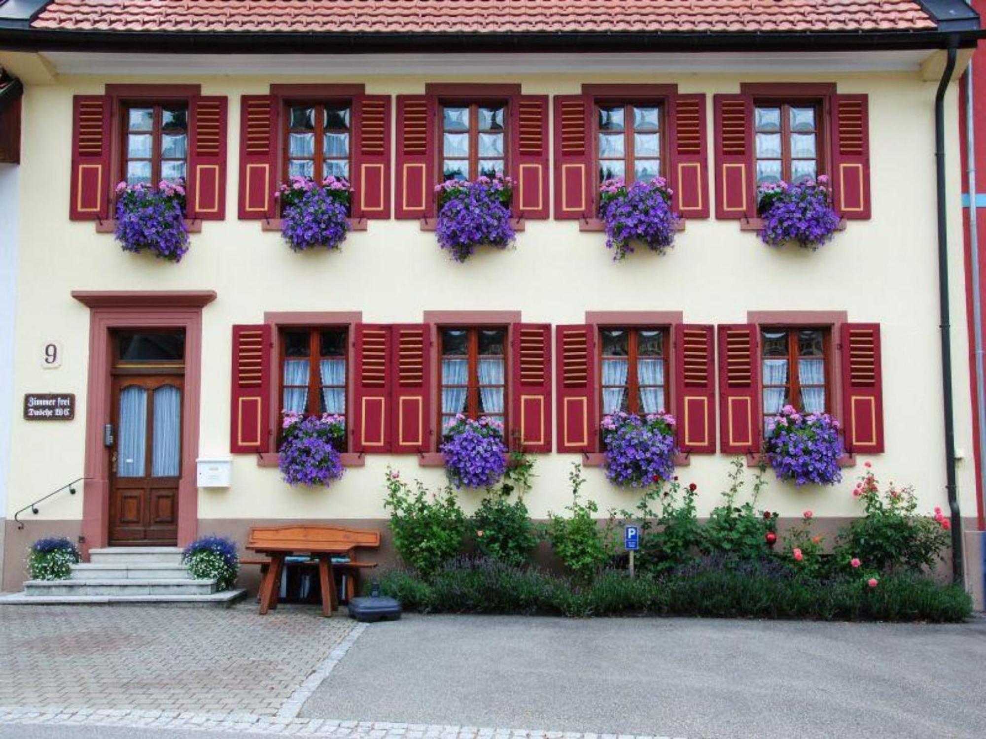 Haus Am Bühl view 5